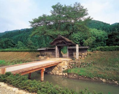 一乗谷朝倉氏遺跡の画像