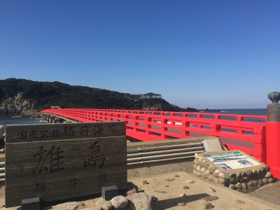 雄島の画像