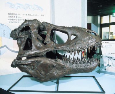 恐竜の画像