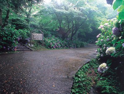 【福井市】足羽山公園散歩のおすすめスポット6選!カフェも自然もパワースポットも満喫しちゃおう!