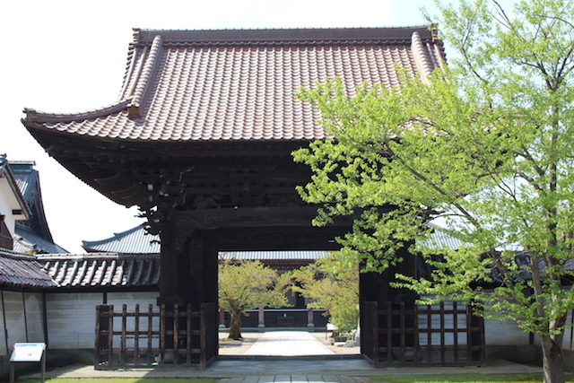 福井鯖江誠照寺の画像