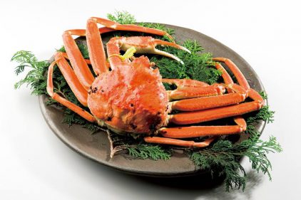 「地魚の聖地。若狭路」お魚クイズまとめ第1弾!冬のお魚 トラフグ〜ホッコクアカエビ