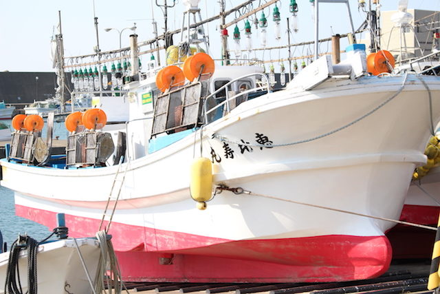 福井越前漁港の画像