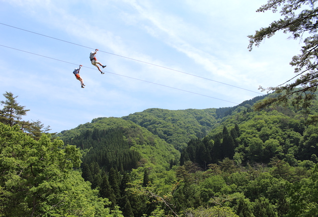 スリル満点！日本最大級のジップラインは景色も楽しめる！高さ60m・全長約1kmの空の旅【ツリーピクニックアドベンチャー】