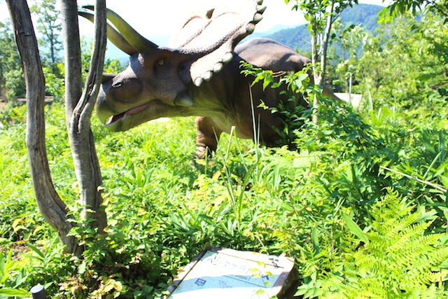 福井勝山恐竜博物館ディノパークの画像