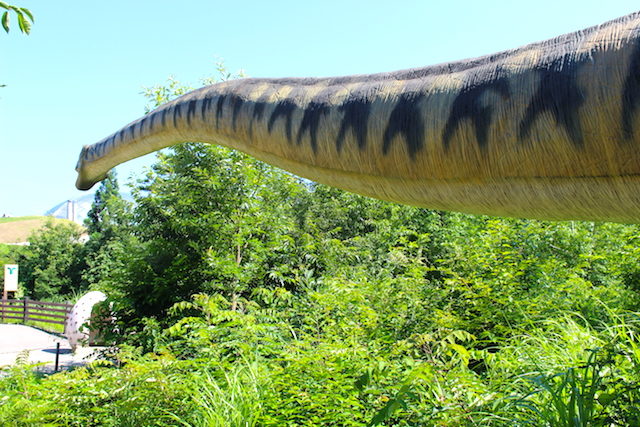 福井勝山恐竜博物館ディノパークの画像