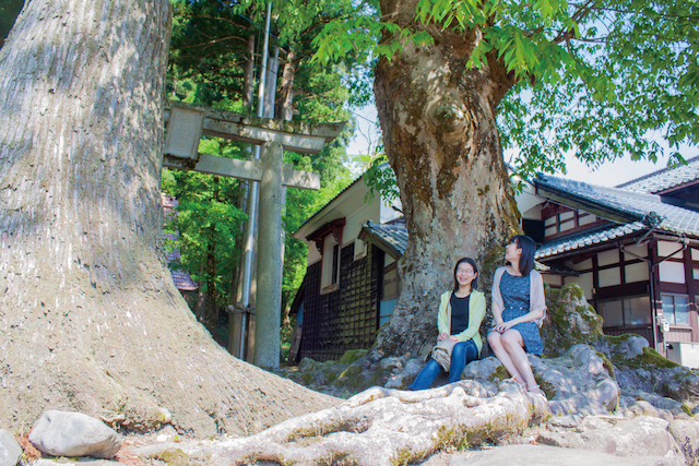 福井池田白山神社の画像