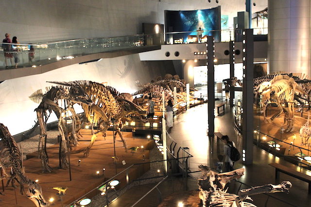 福井観光勝山恐竜博物館の画像