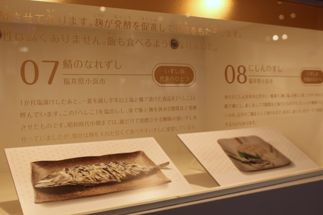 福井小浜御食国若狭おばま食文化館体験の画像