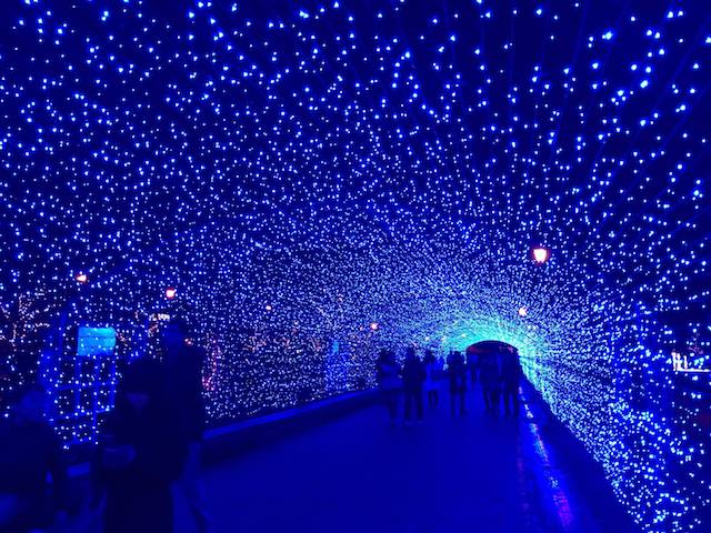 【2021年は開催！】クリスマスは北陸人気1位の敦賀港イルミネーションミライエを見に行こう！【敦賀市】