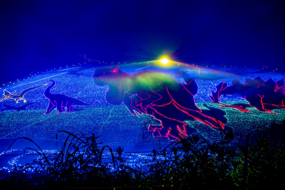 日本最大級！夏の「ジオ・イルミネーション」で60万個の光が作り出す太古と恐竜の世界にタイムスリップ【スキージャム勝山】