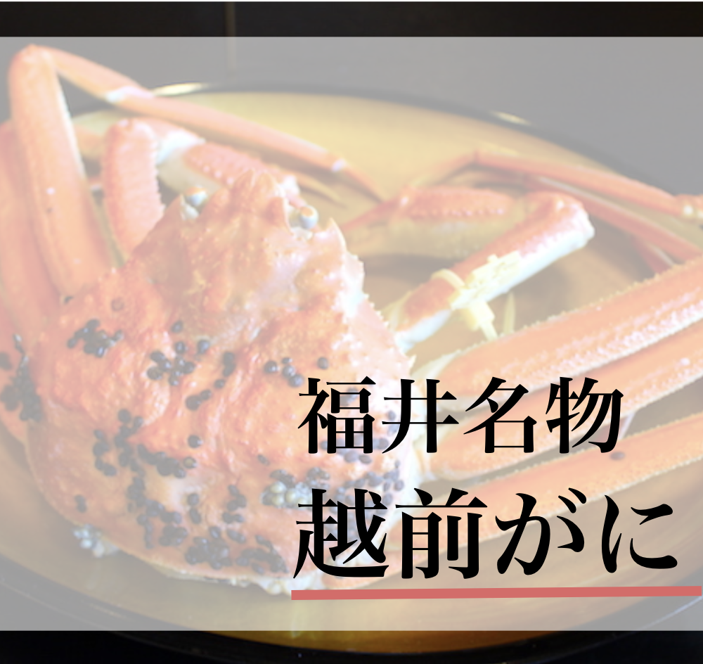 冬の味覚の王者 越前がに とは 食べられる旅館 飲食店もご紹介 Dearふくい 福井県のローカルメディア